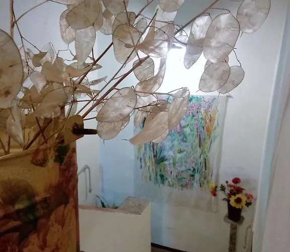 Podere Pian Dei Gelsi